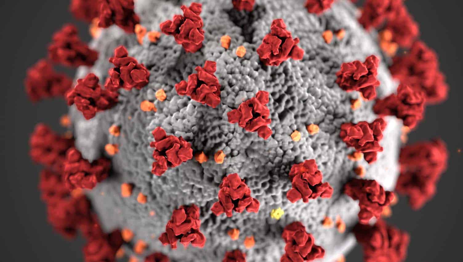 O coronavirus SARS-Cov-2 causador da Covid-19 e da pandemia global de 2020